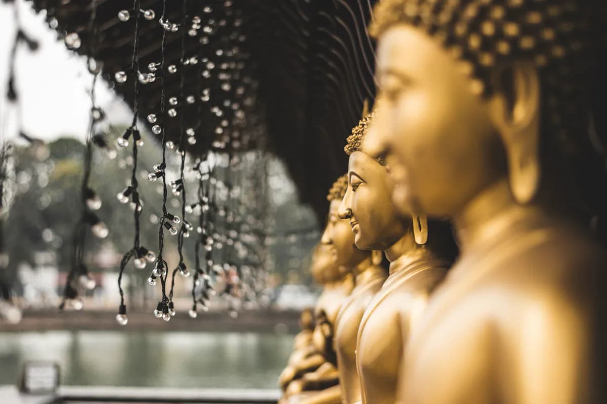A row of golden Buddha statues in profile beside hanging string lights, with water and trees softly blurred behind