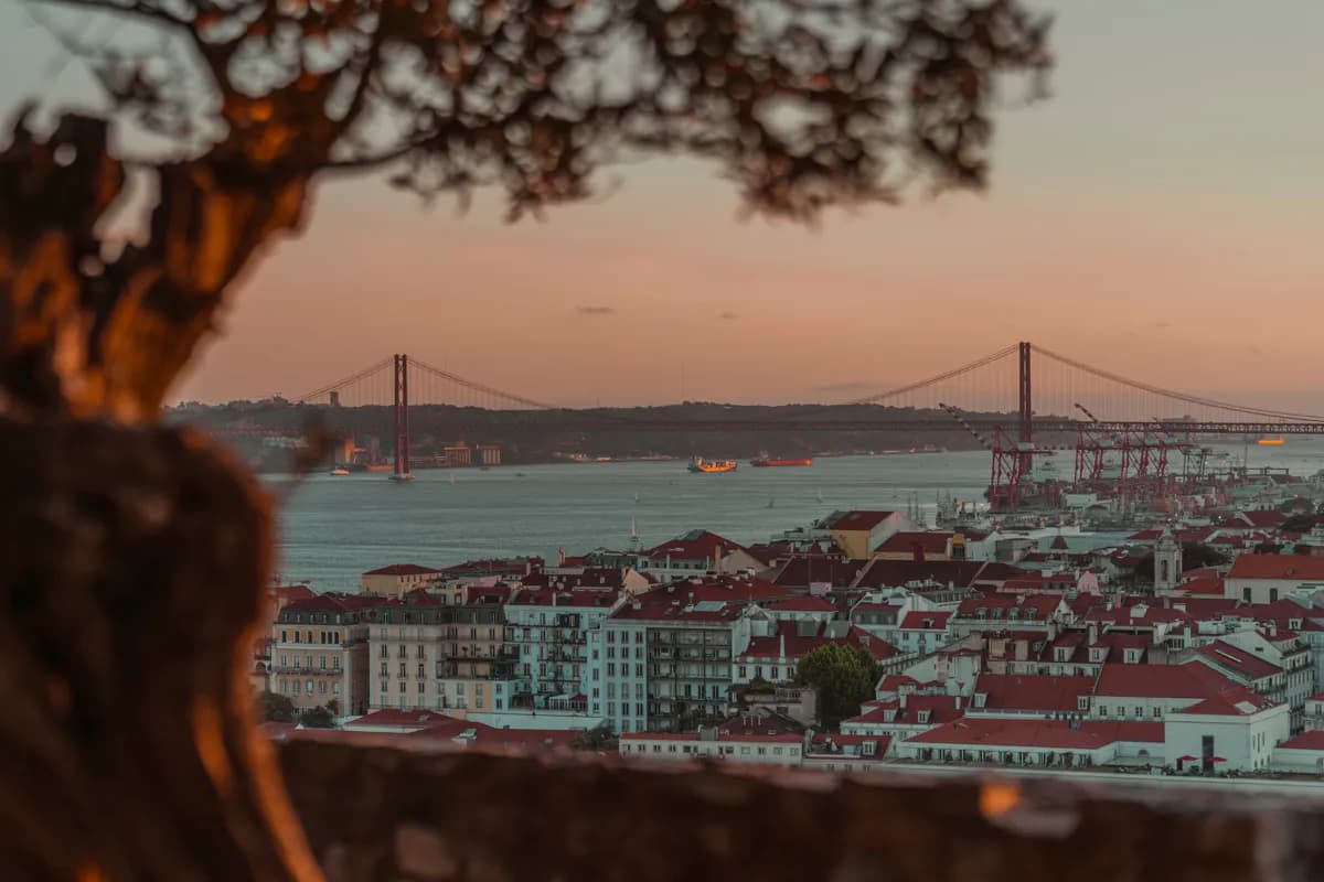 The 25 de Abril Bridge over the River Tagus at sunset, seen past a tree above the red roofs of Lisbon