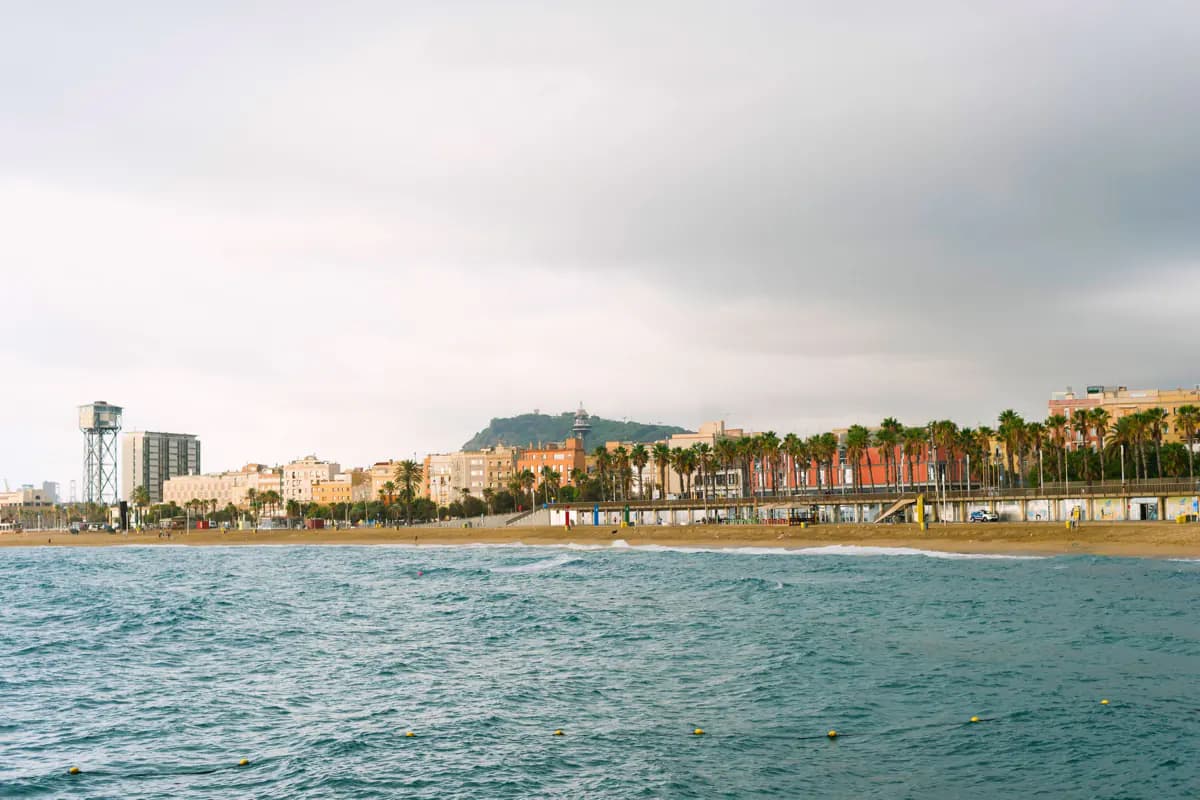 Barceloneta beach seen from the sea, with palm trees along the seafront and a green hill behind under grey cloud