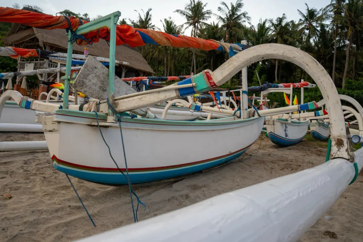 Traditional outrigger fishing boats with curved outrigger arms pulled up on a sandy beach in Bali, below palm trees
